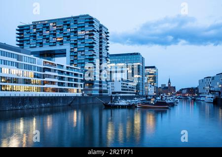 Die Kranhäuser im Rheinauer Hafen, im Hintergrund das alte Hafenmeisterbüro Köln. Die Kranhaeuser im Rheinauhafen, im Hinte Stockfoto