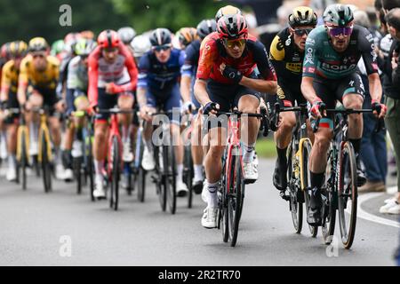 BERGAMO, ITALIEN – MAI 21: Ben Swift aus dem Vereinigten Königreich und Team INEOS, Nico Denz aus Deutschland und Team BORA treten während der 106. Giro d'Italia 2023, Stufe 15, einer 195km. Etappe von Seregno bis Bergamo / #UCIWT / am 21. Mai 2023 in Seregno, Italien, an. Foto Tiziano Ballabio Kredit: Tiziano Ballabio/Alamy Live News Stockfoto