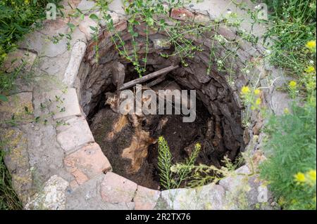 Velyka Oleksandrivka, Ukraine. 19. Mai 2023. Schweine auf dem Grund eines Brunnens auf einem Bauernhof gefunden, der während des Krieges zwischen Russland und der Ukraine auf einem Bauernhof in Velyka Oleksandrivka, Ukraine, zerstört wurde. (Foto: Michael Brochstein/Sipa USA) Guthaben: SIPA USA/Alamy Live News Stockfoto