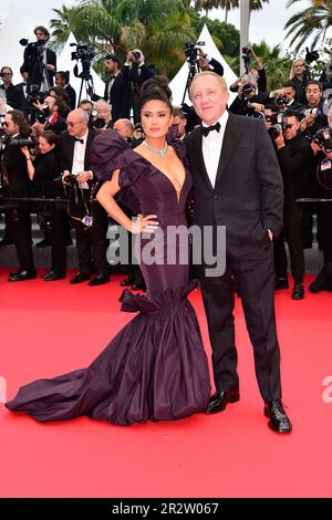 Salma Hayek und Francois Henri Pinault besuchen die Premiere von „Killers of the Flower Moon“ beim 76. Jährlichen Filmfestival in Cannes am 20. Mai 2023 in Stockfoto