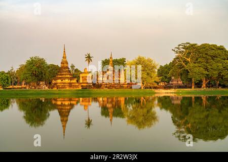 Der zentrale buddhistische Tempel Wat Mahathat im UNESCO Welterbe Geschichtspark Sukhothai, Thailand, Asien | der wichtigste buddhistische Ort im Zentrum Stockfoto