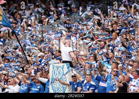 Nürnberg, Deutschland. 21. Mai 2023. Fußball: 2. Bundesliga, 1. FC Nürnberg - Hansa Rostock, 33. Spieltag im Max-Morlock-Stadion. Hansa Rostock-Fans feuern ihr Team an. Kredit: Daniel Karmann/dpa - WICHTIGER HINWEIS: Gemäß den Anforderungen der DFL Deutsche Fußball Liga und des DFB Deutscher Fußball-Bund ist es verboten, im Stadion aufgenommene Fotos und/oder das Spiel in Form von Sequenzbildern und/oder videoähnlichen Fotoserien zu verwenden oder verwenden zu lassen./dpa/Alamy Live News Stockfoto