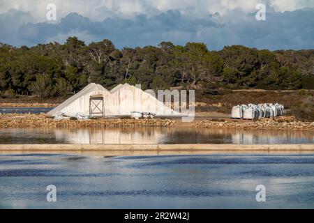 Salinas de S'Avall, Salzverdampfteich mit Salzpfählen in Colonia de Sant Jordi, Mallorca, Mallorca, Balearen, Spanien, Europa Stockfoto