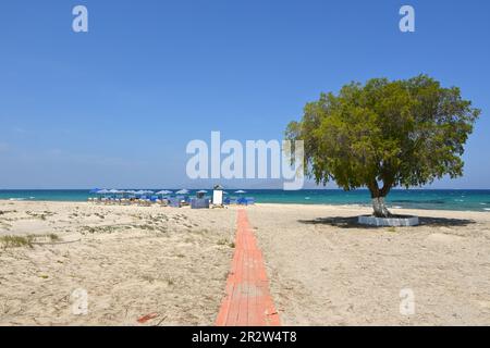 Wunderschöner Marmari Strand mit goldenem Sand und türkisfarbenem Wasser. Insel Kos, Griechenland Stockfoto