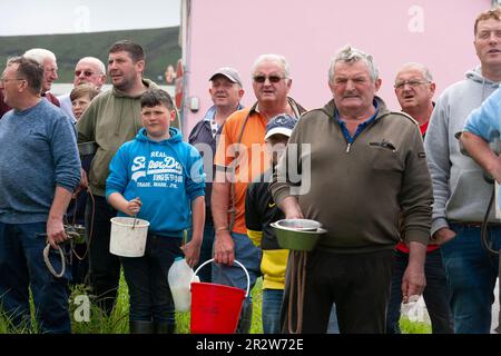 Portmagee, County Kerry, Irland. 21. Mai 2023. Beagles und ihre Besitzer treten in einer Drag Hunt an, einem lokalen humanen Sport. County Kerry, Irland Kredit: Stephen Power/Alamy Live News Stockfoto