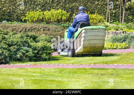 Ein arbeitender Gärtner fährt einen Rasenmäher und mäht das grüne Gras des Rasens vor einem unscharfen Hintergrund eines Frühlingsgartens. Speicherplatz kopieren. Stockfoto