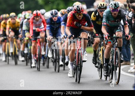 Bergamo, Italien. 21. Mai 2023. BERGAMO, ITALIEN – MAI 21: Ben Swift aus dem Vereinigten Königreich und Team INEOS, Nico Denz aus Deutschland und Team BORA treten während der 106. Giro d'Italia 2023, Stufe 15, einer 195km. Etappe von Seregno bis Bergamo/#UCIWT/am 21. Mai 2023 in Seregno, Italien, an. Foto: Tiziano Ballabio Credit: Live Media Publishing Group/Alamy Live News Stockfoto