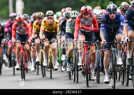 Bergamo, Italien. 21. Mai 2023. BERGAMO, ITALIEN - MAI 21: Bauke Mollema aus den Niederlanden und Team Trek - Segafredo treten während des Giro d'Italia 2023 106. 195km, Stufe 15 von Seregno nach Bergamo/#UCIWT/am 21. Mai 2023 in Seregno, Italien, an. Foto: Tiziano Ballabio Credit: Live Media Publishing Group/Alamy Live News Stockfoto