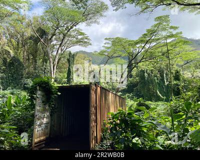 Eindrücke von Hawaii: Container Stockfoto