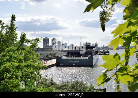 Das neue batteriebetriebene Event-Schiff OCEAN DIVA trifft zum ersten Mal am Stützpunkt der Royal Docks in London ein. Stockfoto