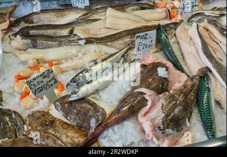 Frische Fische im Fish Plaice, Point Street, Milford Haven, Pembrokeshire Stockfoto