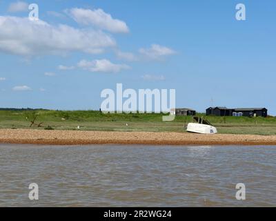 Orford, Suffolk - 21. Mai 2023 : Bootsfahrt auf der Alde vom Kai Orford. Havergate Island, geschützt durch die RSPB. Stockfoto