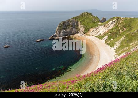 Man O' war Bay ist eine geschlossene Bucht in der Nähe von Durdle Door entlang der Jurassic Coast, Dorset, England, Vereinigtes Königreich Stockfoto