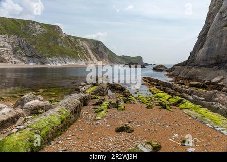 Man O' war Bay ist eine geschlossene Bucht in der Nähe von Durdle Door entlang der Jurassic Coast, Dorset, England, Vereinigtes Königreich Stockfoto