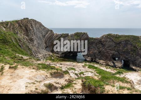 Stair Hole ist eine kleine Bucht in Lulworth Cove, wo gefaltete Kalksteinschichten - die Lulworth-Knauze - zu sehen sind. UNESCO-Weltkulturerbe, Dorset, Großbritannien Stockfoto