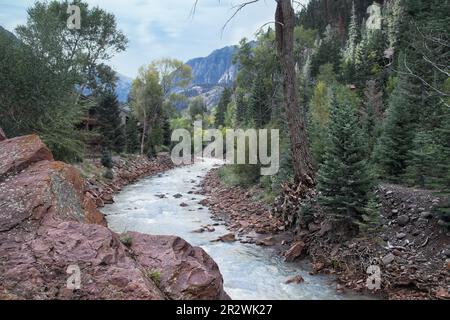An einem stürmischen, bedeckten Tag fließt der Uncompahgre River in Ouray, Colorado, ungehindert. Stockfoto
