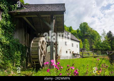 Bad Goisern am Hallstättersee: Wassermühle Anzenaumühle in Salzkammergut, Oberösterreich, Oberösterreich, Österreich Stockfoto