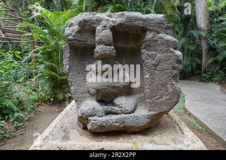 Das Freiluftmuseum des Parque Museo La Venta in Tabasco, Mexiko, zeigt alte Olmec-Köpfe und andere Basaltschnitzereien Stockfoto