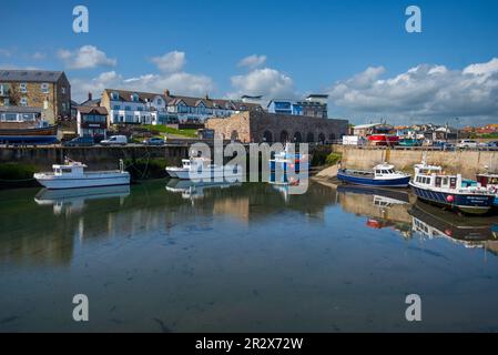 Der Hafen bei Ebbe in Seahouses an der Nordostküste Englands, Northumberland, England, Vereinigtes Königreich Stockfoto