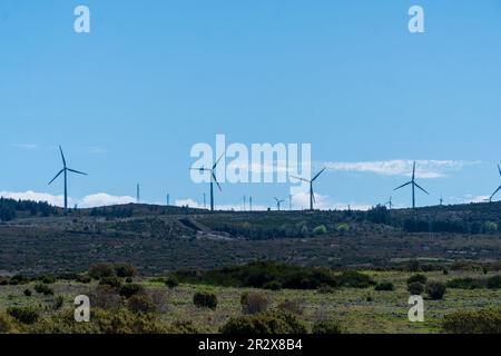 Windmühlen-Bauernhof - Windgeneratorturbinen - auf dem Gipfel eines Berges Stockfoto