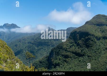 Panorama Aussicht auf Hügel mit Lorbeerwald auf Madeira, Portugal. Lorbeerwald (Laurisilva auch genannt) auf Madeira klassifiziert als UNESCO Welt Stockfoto