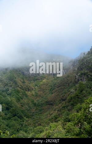 Panorama Aussicht auf Hügel mit Lorbeerwald auf Madeira, Portugal. Lorbeerwald (Laurisilva auch genannt) auf Madeira klassifiziert als UNESCO Welt Stockfoto