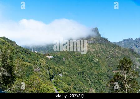 Panorama Aussicht auf Hügel mit Lorbeerwald auf Madeira, Portugal. Lorbeerwald (Laurisilva auch genannt) auf Madeira klassifiziert als UNESCO Welt Stockfoto