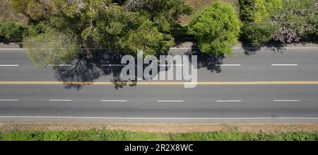 Highway Road bedeckt mit Baumschatten über der obersten Drohne Stockfoto