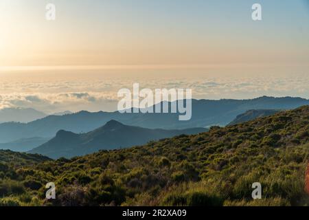 Der Sonnenaufgang in den Bergen von Madeira ist von Sonnenlicht umgeben und bietet einen malerischen Blick auf die Landschaft und den Pico Ruivo, Portugal. Stockfoto