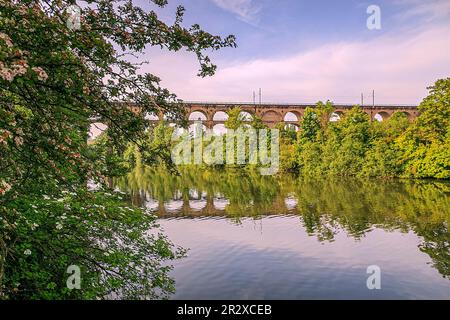 Der Eisenbahnviadukt Enzviadukt über den Fluss Enz in der Stadt Bietigheim-Bissingen, Baden Würtemberg, Deutschland. Stockfoto