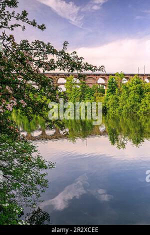 Der Eisenbahnviadukt Enzviadukt über den Fluss Enz in der Stadt Bietigheim-Bissingen, Baden Württemberg, Deutschland, Europa Stockfoto