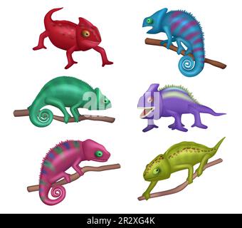 Chamäleon. Exotisches wildes Reptil in einem Wald anständige Vektorechse realistische Illustration Stock Vektor
