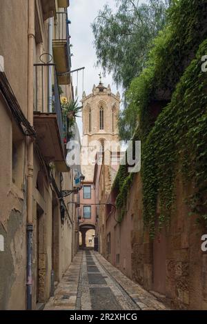 Carrer de Santa Tecla mit der Bogenbrücke und dem Turm der Kathedrale im Hintergrund in der Stadt Tarragona, Katalonien, Spanien, Europa Stockfoto