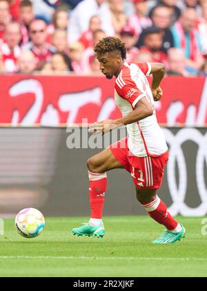 Kingsley Coman, FCB 11 im Spiel FC BAYERN MÜNCHEN – RB LEIPZIG 1-3 1. Deutsche Fußballliga am 20. Mai 2023 in München. Saison 2022/2023, Spieltag 33, 1. Bundesliga, FCB, München, 33.Spieltag. © Peter Schatz / Alamy Live News - DFL-VORSCHRIFTEN VERBIETEN DIE VERWENDUNG VON FOTOS als BILDSEQUENZEN und/oder QUASI-VIDEO - Stockfoto