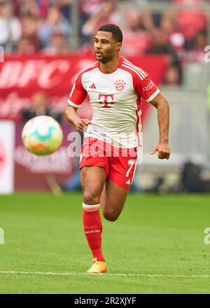 Serge GNABRY, FCB 7 im Spiel FC BAYERN MÜNCHEN – RB LEIPZIG 1-3 1. Deutsche Fußballliga am 20. Mai 2023 in München. Saison 2022/2023, Spieltag 33, 1. Bundesliga, FCB, München, 33.Spieltag. © Peter Schatz / Alamy Live News - DFL-VORSCHRIFTEN VERBIETEN DIE VERWENDUNG VON FOTOS als BILDSEQUENZEN und/oder QUASI-VIDEO - Stockfoto