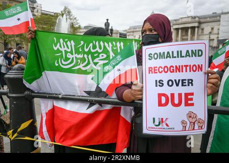 Trafalgar Square, London, Großbritannien. 21. Mai 2023. Die somalische Gemeinschaft und ihre Delegierten nehmen an unabhängigen Somaliland-Feiern am Trafalgar Square Teil. Kredit: Siehe Li/Picture Capital/Alamy Live News Stockfoto