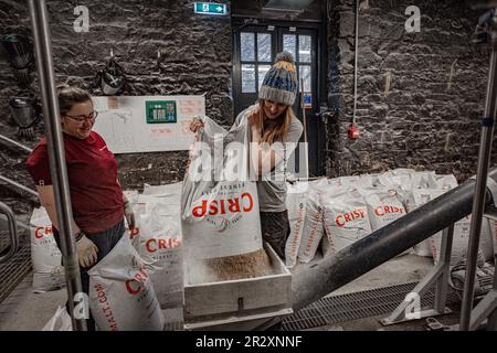 In der Holyrood Distillery Edinburgh, Schottland, wird gemälzter Gerste zur Herstellung von Single-Malt-Whisky verwendet Stockfoto