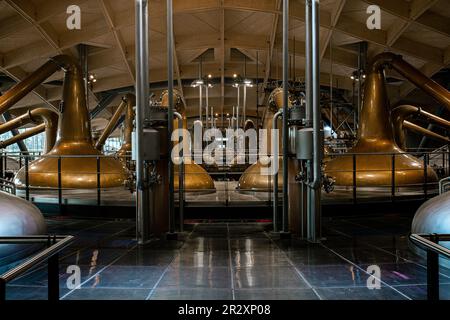 Die Macallan Distillery in Craigellachie in Speyside, Schottland, Großbritannien Stockfoto