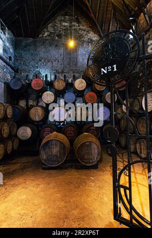 Scottish Whisky im No1 Bonded Warehouse in der Glengoyne Distillery, Killearn, Glasgow, Schottland Stockfoto