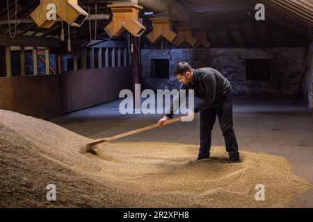 Springbank Destillery Floor Maltings, Campbeltown, Schottland, Vereinigtes Königreich Stockfoto