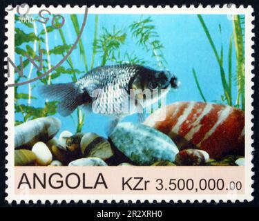 ANGOLA - CIRCA 2000: Ein in Angola gedruckter Stempel zeigt Goldfische, ca. 2000 Jahre alt Stockfoto