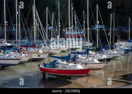 ILFRACOMBE, DEVON, Großbritannien - 19. OKTOBER: Blick auf den Hafen von Ilfracombe am 19. Oktober 2013 Stockfoto