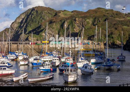 ILFRACOMBE, DEVON, Großbritannien - 19. OKTOBER: Blick auf den Hafen von Ilfracombe am 19. Oktober 2013 Stockfoto