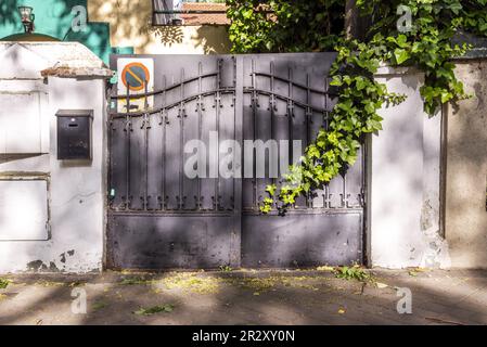 Portal eines urbanen Einfamilienhauses mit einem Metallzaun mit schmiedeeisernen Werkstücken, dunkelgrau gestrichen und einer Weinrebe, die auf die Oberfläche fällt Stockfoto