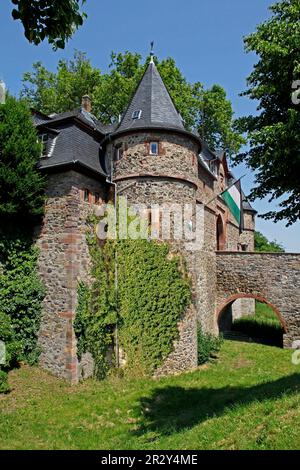 Schloss, Tor, Steinbrücke, Graben, Friedberg, Wetteraukreis, Hessen, Deutschland Stockfoto