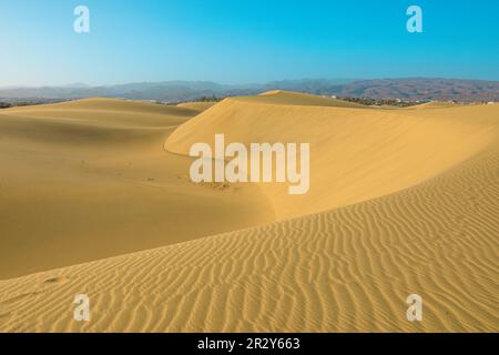 Maspalomas Dunes von Gran Canaria ist eine atemberaubende Wüstenlandschaft im Herzen der Kanarischen Inseln. Die majestätischen Dünen, geformt von der Konstante Stockfoto