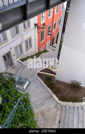 Eine enge Gasse mit Treppen zwischen bunten Häusern im Viertel alfama, steile Gasse, die von oben gesehen wird, lissabon, portugal, vertikal Stockfoto