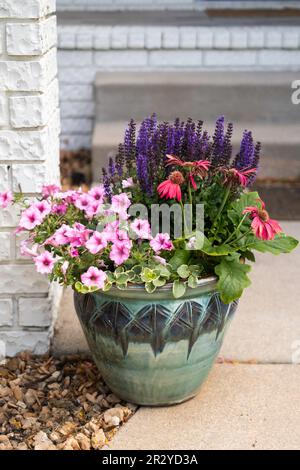 Ein Topf gefüllt mit roten Gerbera Gänseblümchen, Gerbera jamesonii und rosa Petunien, "Bubblegum pink" vor einem Backsteinzaun im Innenhof. USA. Stockfoto