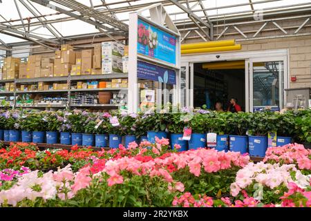 Bloomsburg, Usa. 21. Mai 2023. Am Sonntag, den 21. Mai 2023, werden Blumen im Gartencenter in einem Lowe's Store in Bloomsburg, Pa, ausgestellt. Lowe's Companies, Inc. Meldet die Quartalsergebnisse am Dienstag, den 23. Mai 2023. (Foto: Paul Weaver/Sipa USA) Guthaben: SIPA USA/Alamy Live News Stockfoto