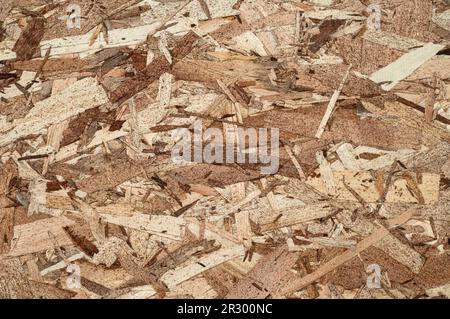 Oberfläche eines Blechs aus ausgerichtetem Strangplatten-Baumaterial. Stockfoto